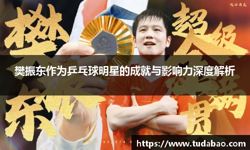 樊振东作为乒乓球明星的成就与影响力深度解析