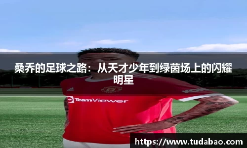 3377体育平台